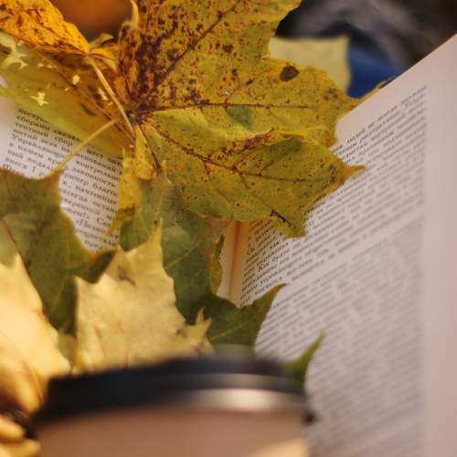Photo #12688735
