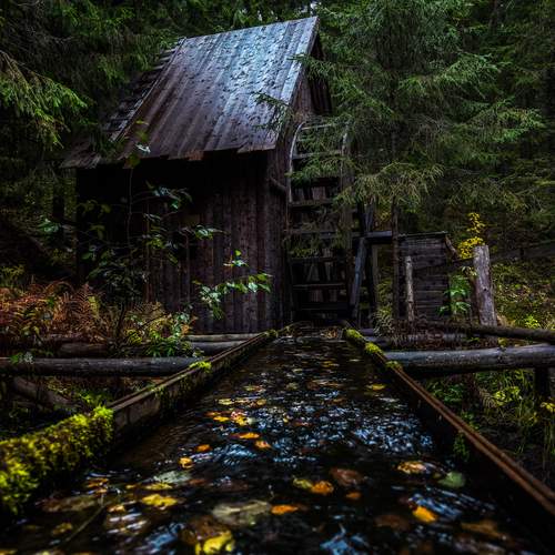 Photo #12688764