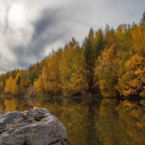 Photo #12689073
