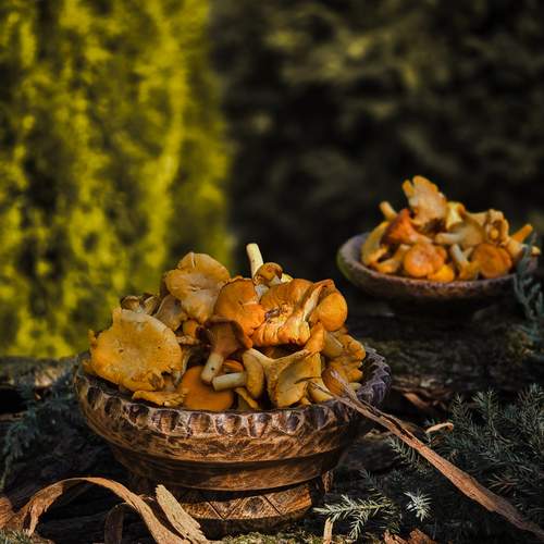 Photo #12689087