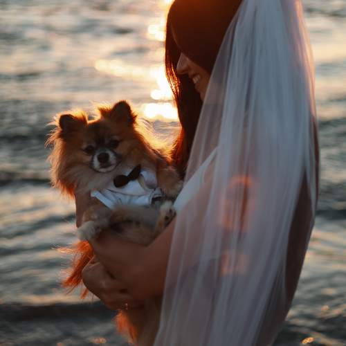 Photo #12689220