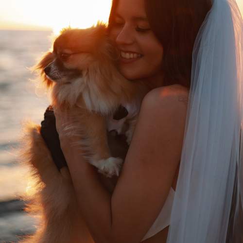 Photo #12689223