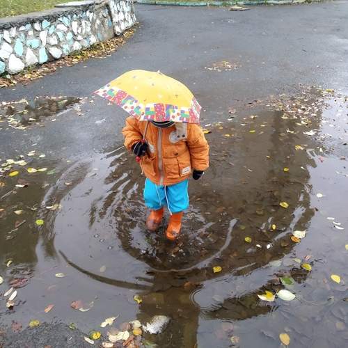 Photo #12689513