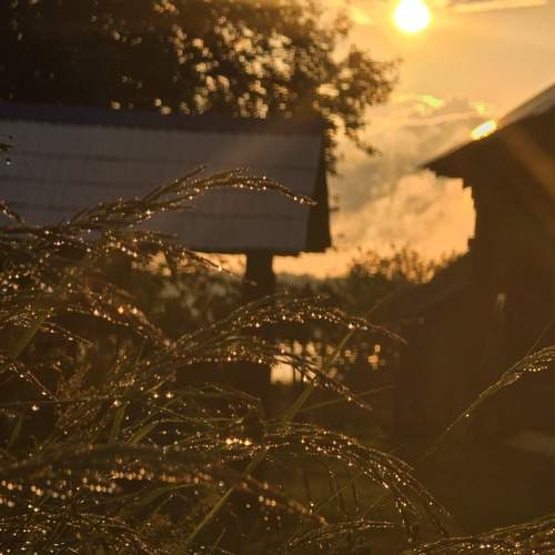 Photo #12689612