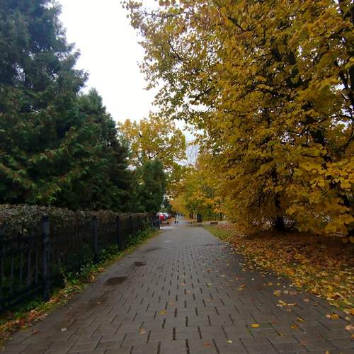 Photo #12689713
