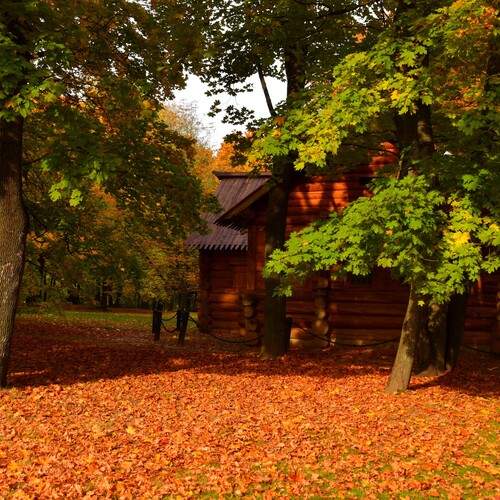 Photo #12689963