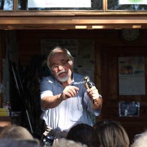 Photo #12690165