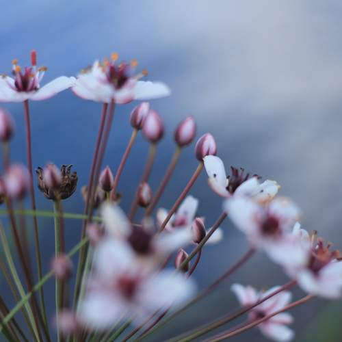Photo #12690172