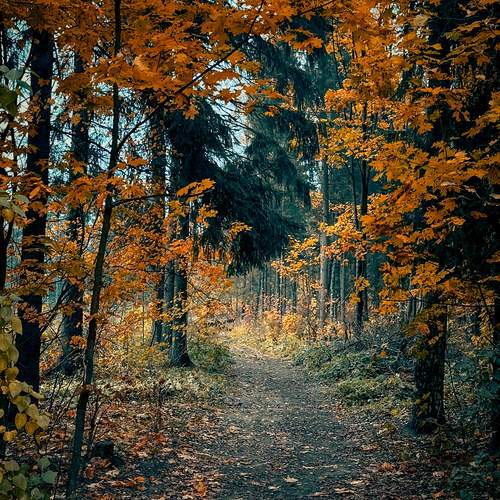 Photo #12690195