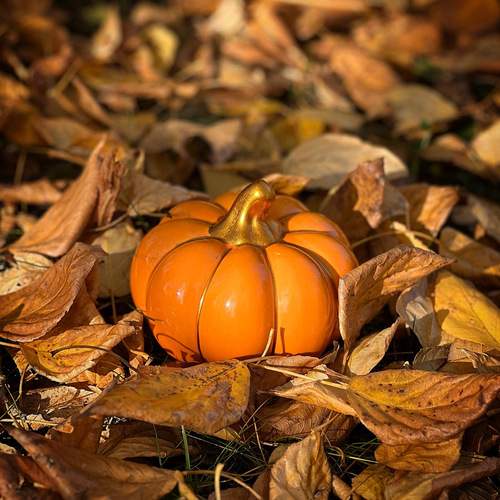 Photo #12690312