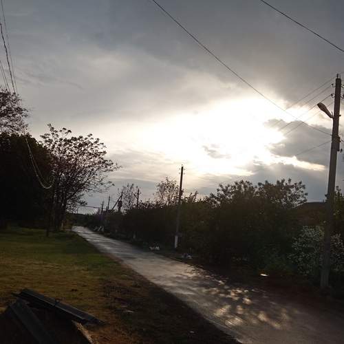Photo #12690459
