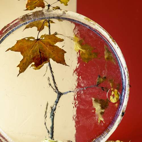 Photo #12690471