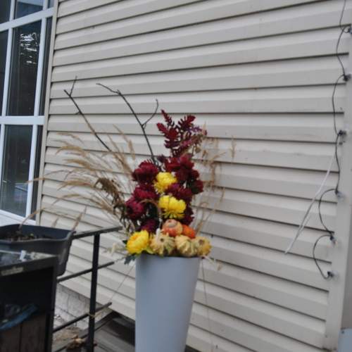 Photo #12690672