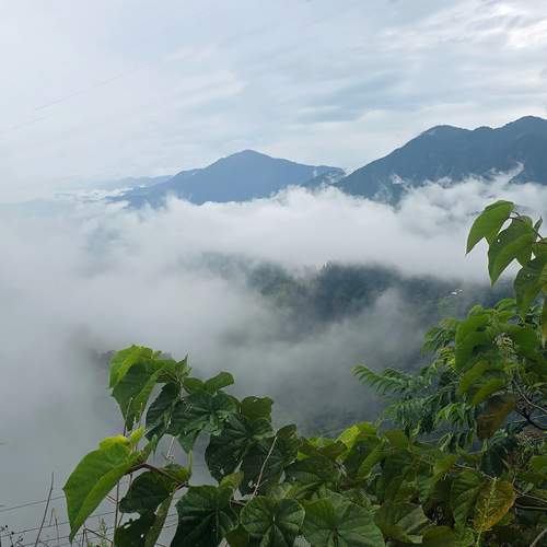 Photo #12690718