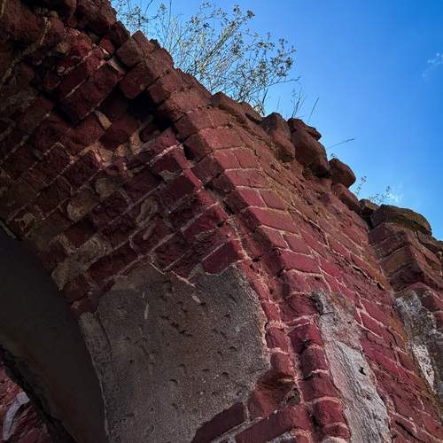 Photo #12690887