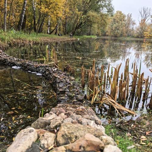 Photo #12690929