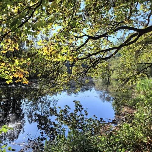 Photo #12690933