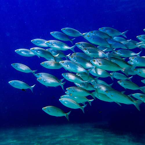 Photo #12690967