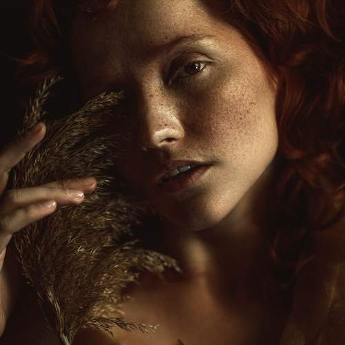 Photo #12691156