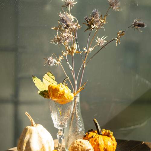 Photo #12691366