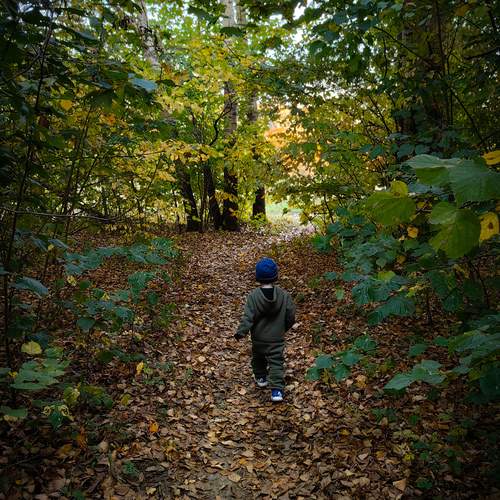 Photo #12691465