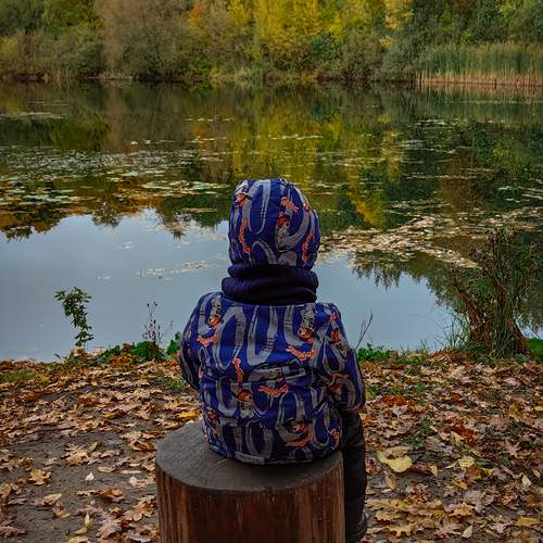 Photo #12691467