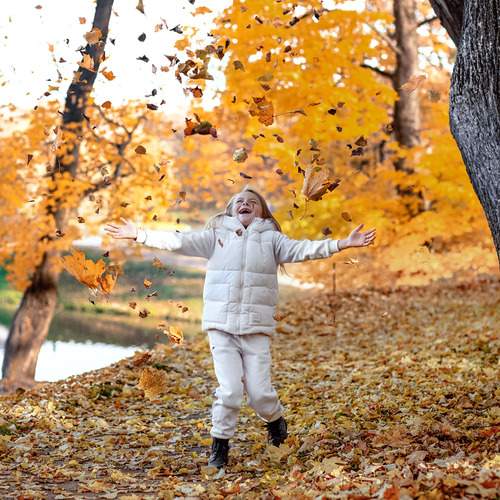 Photo #12691514