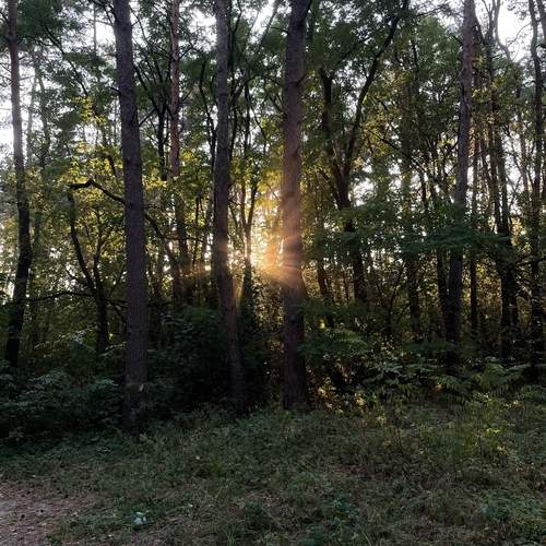 Photo #12691516