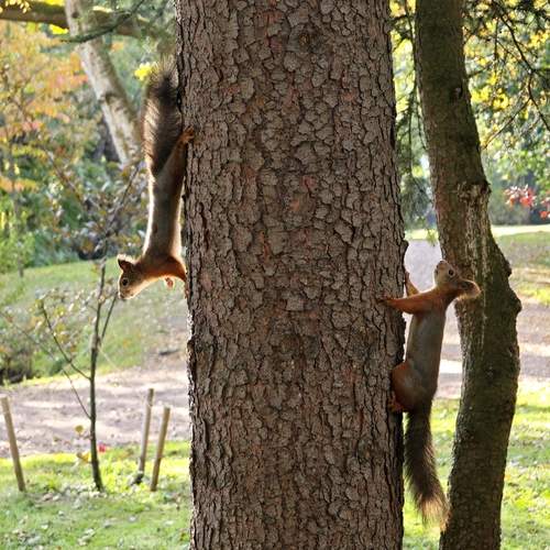 Photo #12691810