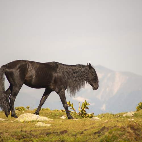 Photo #12691867