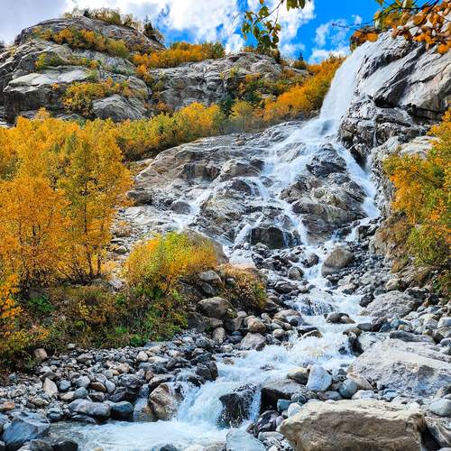 Photo #12691922