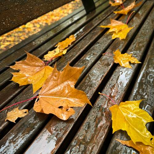 Photo #12691928
