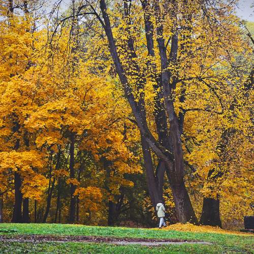 Photo #12692041
