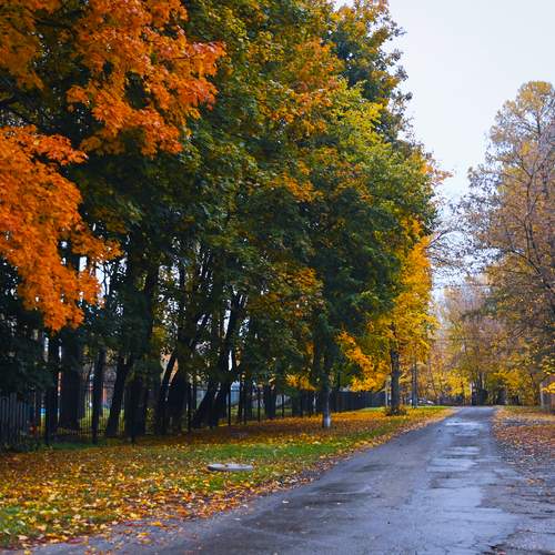 Photo #12692043