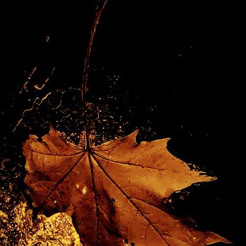 Photo #12692700