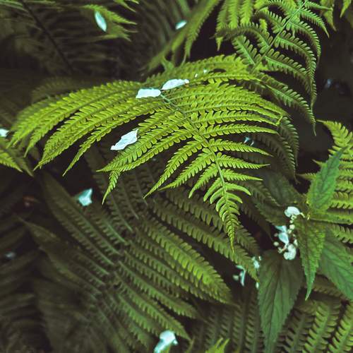 Photo #12692750