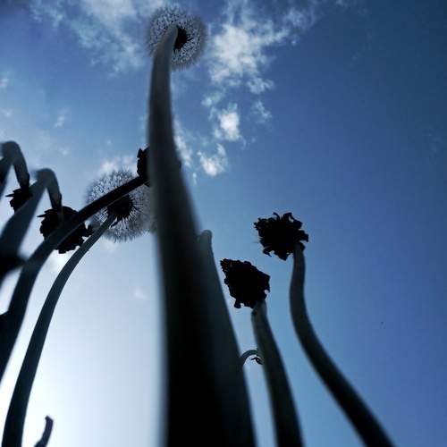 Photo #12692830