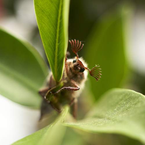 Photo #12693103