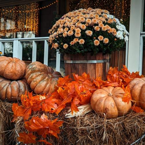 Photo #12693141