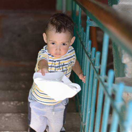 Photo #12693382