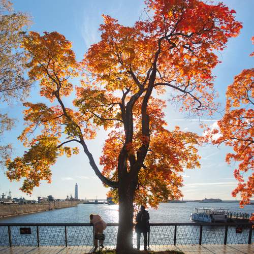 Photo #12693531