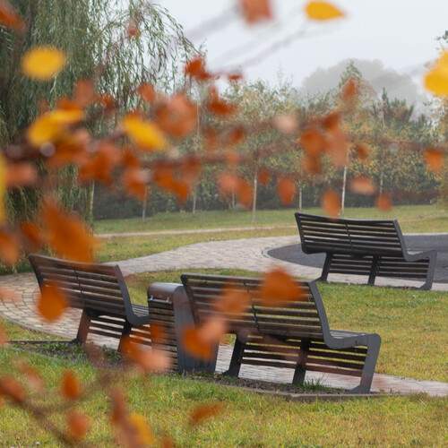 Photo #12693817
