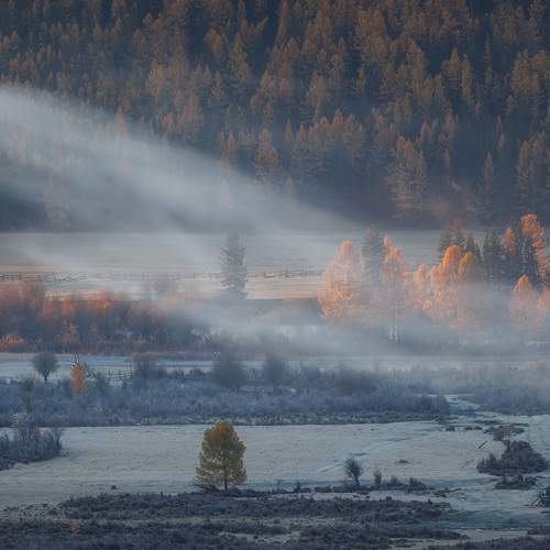 Photo #12694014