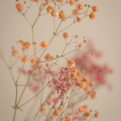 Photo #12694127
