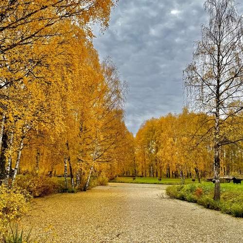 Photo #12694313