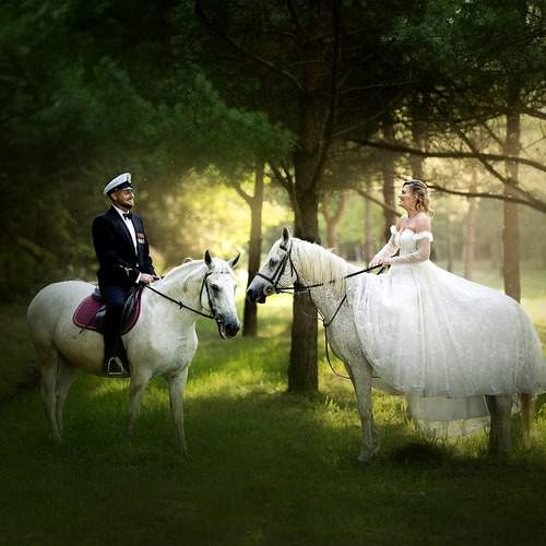 Photo #12694423
