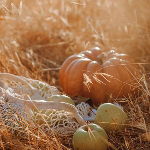 Photo #12694478