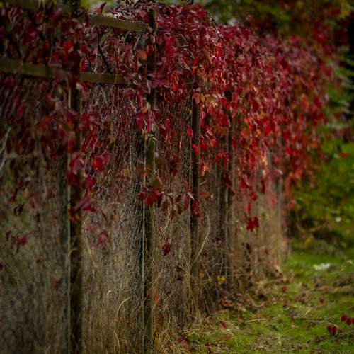 Photo #12694541