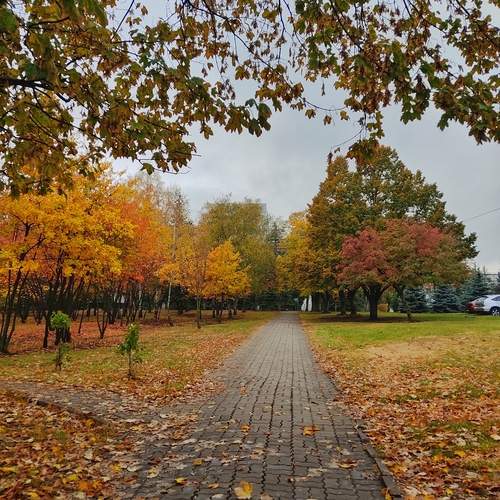 Photo #12694615