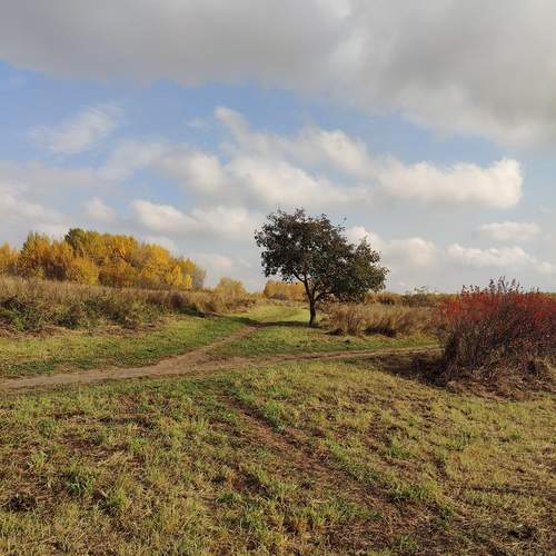Photo #12694759